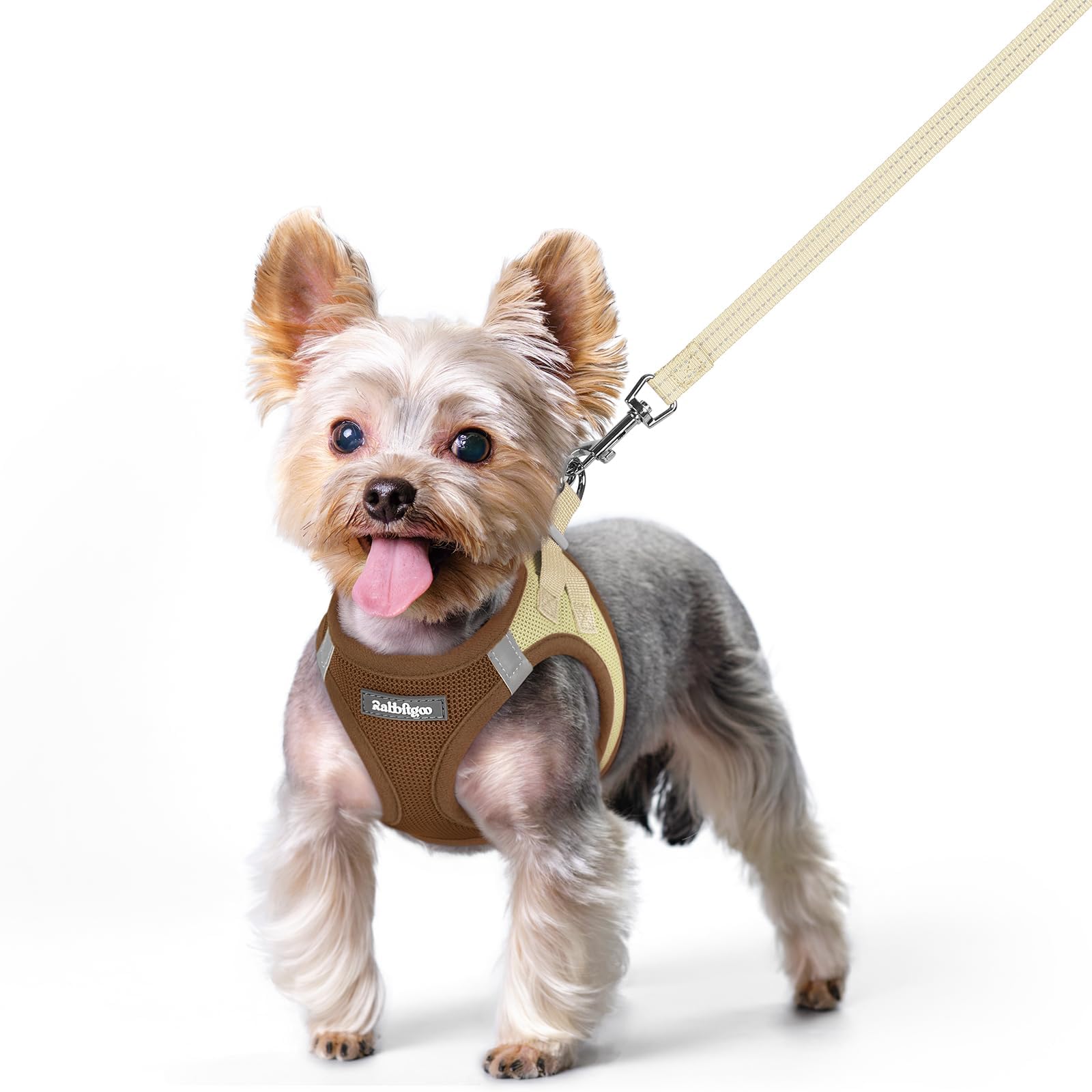 rabbitgoo Dog Harness Small Dog and Leash Set, Step-in Soft Mesh Puppy Harness with Reflective Strips, Lightweight Breathable Pet Vest for Walking Training, Brown & Beige, XS โ image 1