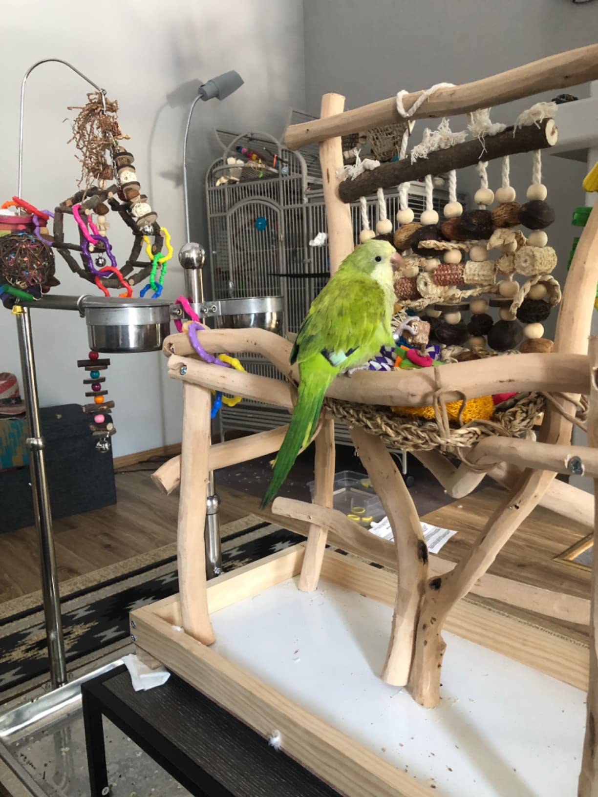 ExoticDad Table Top Bird Stand Customize Your Perch