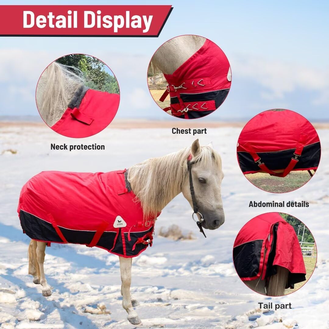 Manta de caballo pequeño, pony, potro, miniatura, 1600 denier, manta para el cuidado del caballo, manta impermeable y transpirable (relleno de 220 g)