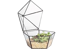 NCYP Geometric Pentagon Glass Coffin Terrarium for Plants and Jewelry