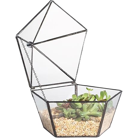 NCYP Geometric Pentagon Glass Coffin Terrarium for Plants and Jewelry