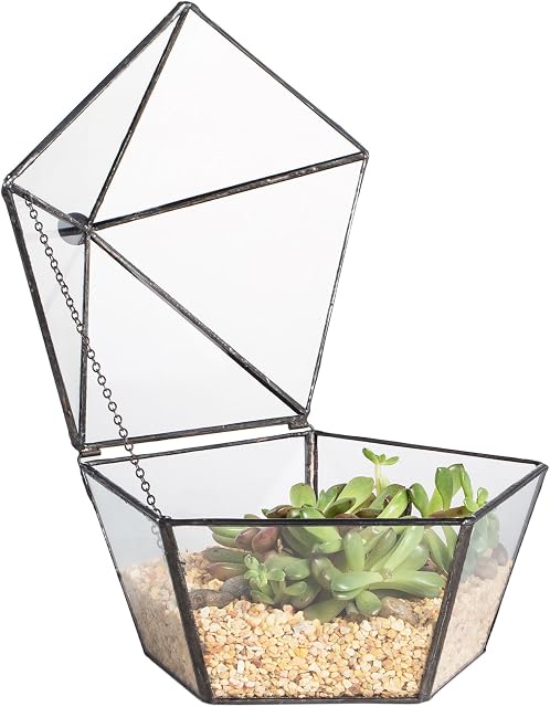 NCYP Modern Handmade Balcony Pentagon Shape Clear Geometric Glass Plant Terrarium Succulent Moss Planter Centerpiece for Wedding Decorative Display Flower Pot (No Plants Included)