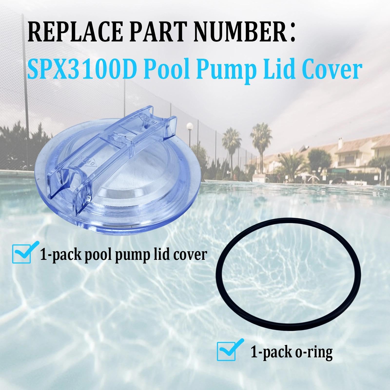 SPX3100D Couvercle fileté de rechange pour pompe de piscine avec joint torique