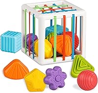 Montessori Shape Sorting Cube with 6 Sensory Blocks - Toys for 1 Year Old Babies 12-18 Months, Fine Motor Skills & Spatial Reasoning Development