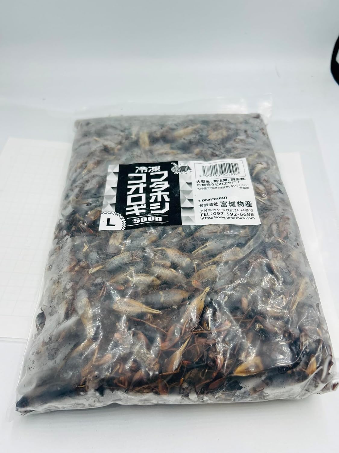 【クール便発送】 冷凍フタホシコオロギ L 500g 猛禽類・爬虫類の餌に