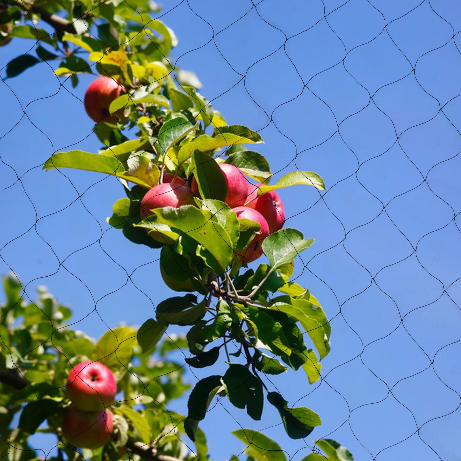 Rete di protezione per uccelli, a maglia stretta, per stagno, per foglie, con ganci, fascette, da giardino, per esterni, aiuole rialzate, per alberi da frutto, protezione da uccelli, galline, piccioni