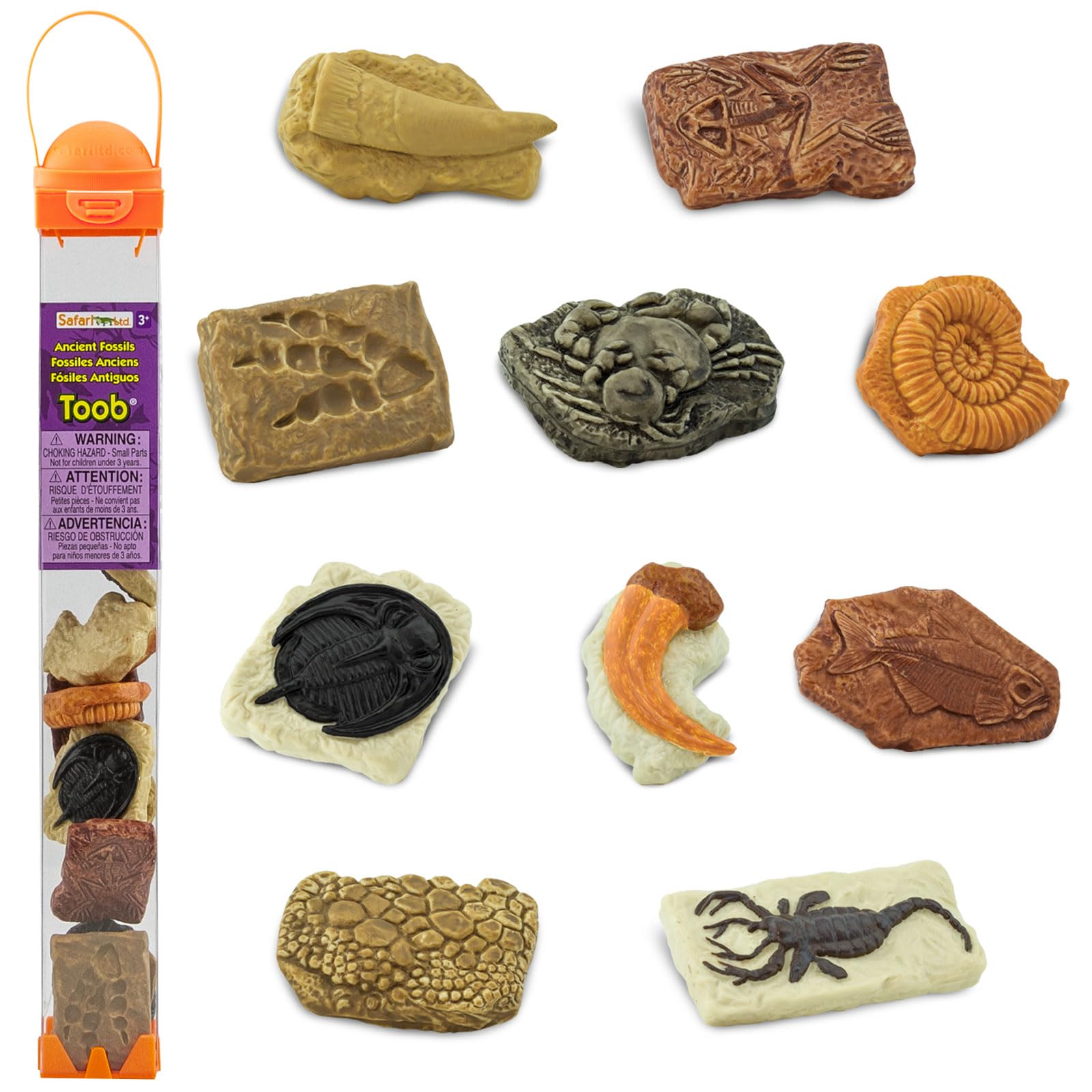 Safari - 684804 - Figurine - Tubo Fossiles
