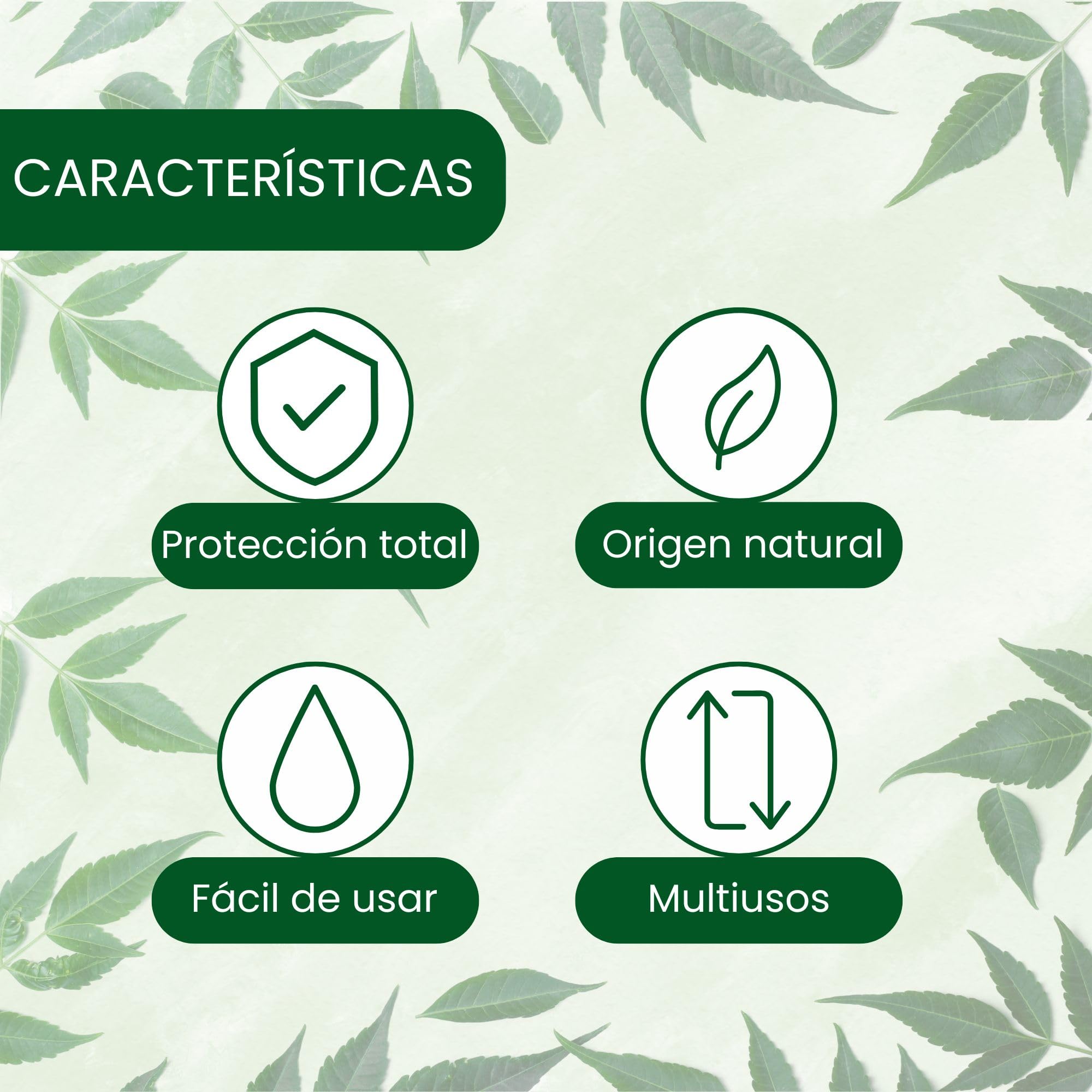 Plantawa Vinagre de Alcohol Concentrado 2 litros | Solución Natural para el Cuidado de Superficies | Acción Eficaz y Seguro | Desincrustante Calcáreo, Sin Residuo.