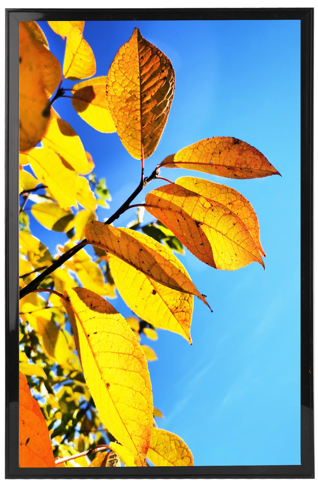 Aynoo 16x24 Poster Frame, Thin Border Photo Frame,Display Posters 16x24 Picture Frames, Wall Mounting Collage Frame,Black, 1Pack