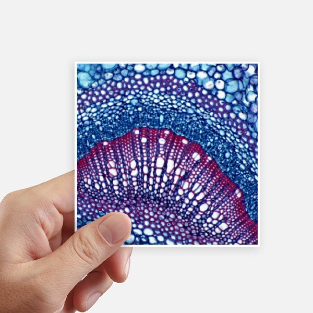 Autocollant science cellulaire multicolore 10cm x 10cm étanche pour décoration moto 8pcs