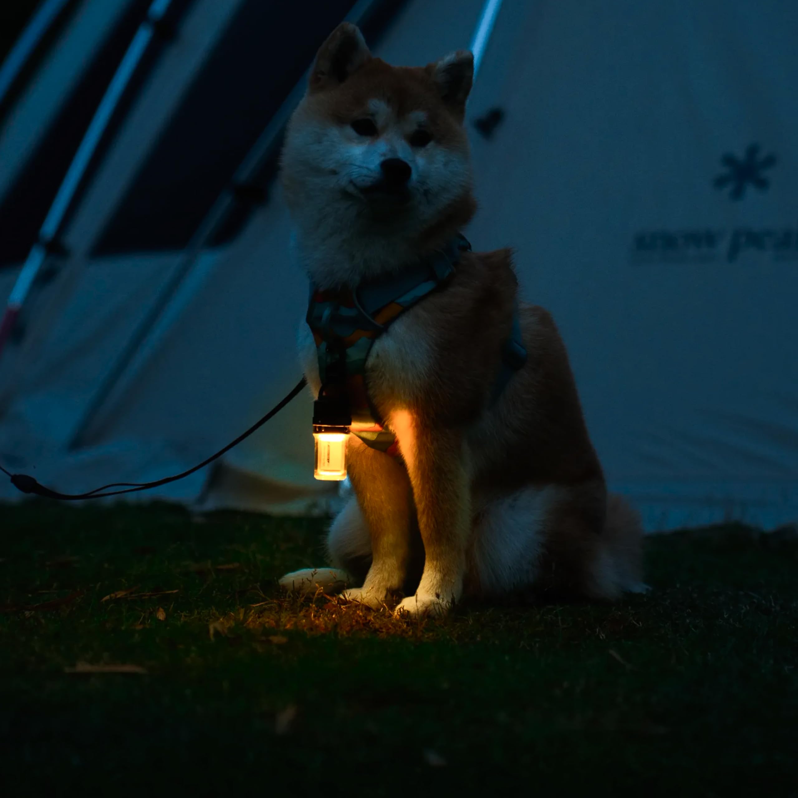 FLEXTAILGEAR Zero Lantern, Lanterne de Camping Portable Ultra-légère (56 g), Rechargeable (1100 mAh), Torche et Lampe de Camping 2 en 1, 4 Modes d'éclairage, 300LM, Accessoire de Camping d'urgence.