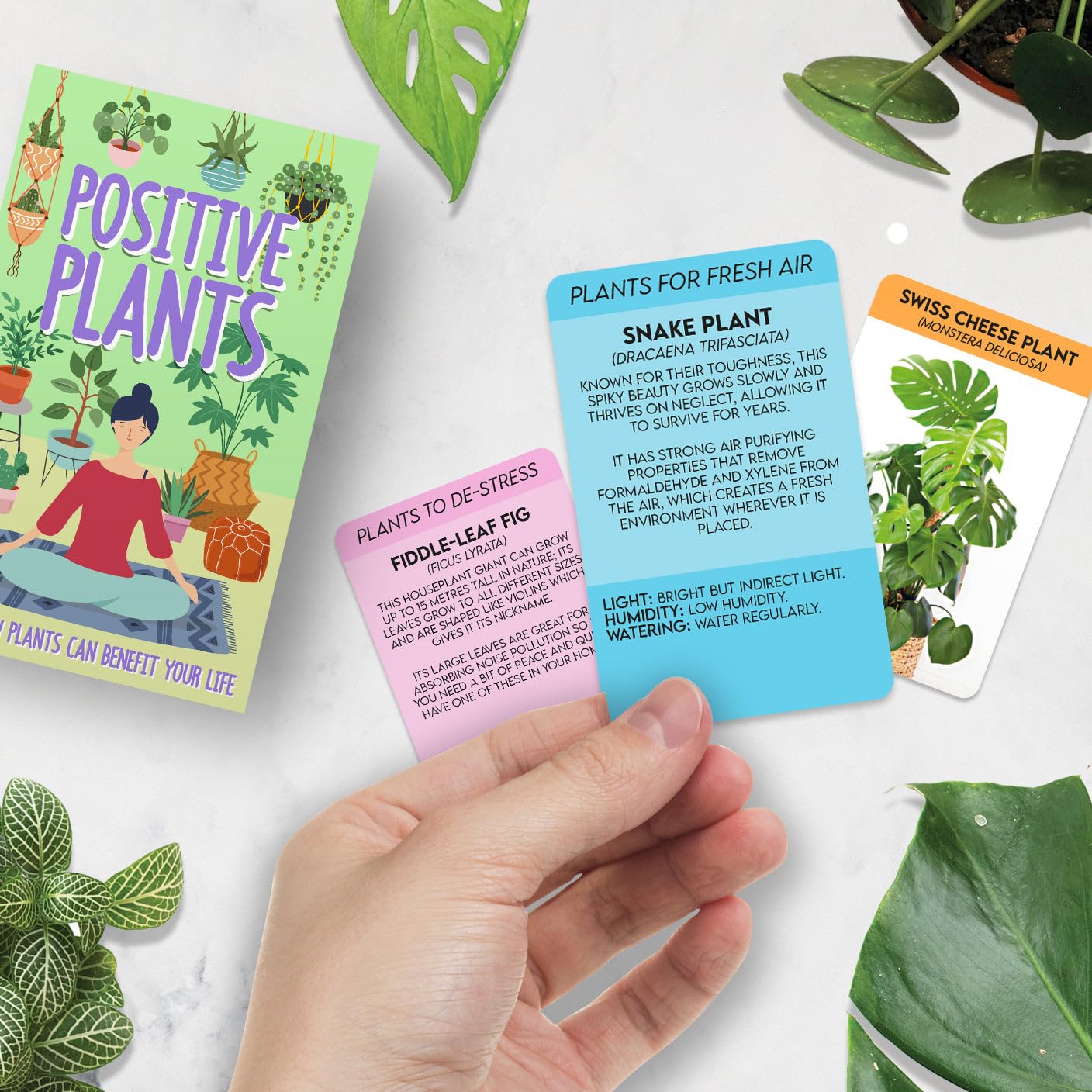 Wellbeing Gift Positive Plants Information Fact Card Pack Relaxing Ideas