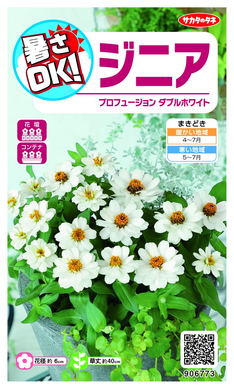 Amazon.co.jp: サカタのタネ ジニア プロフュージョンダブルホワイトの