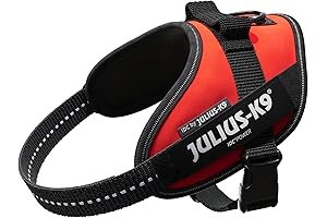 Julius K9 IDC Powerharness, Mini Sized, Red