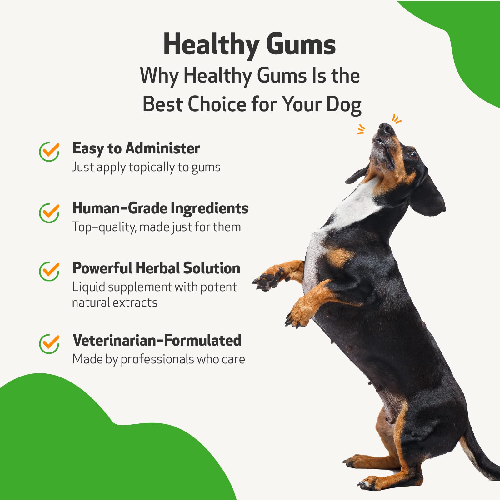 What Can I Give My Dog For Gingivitis