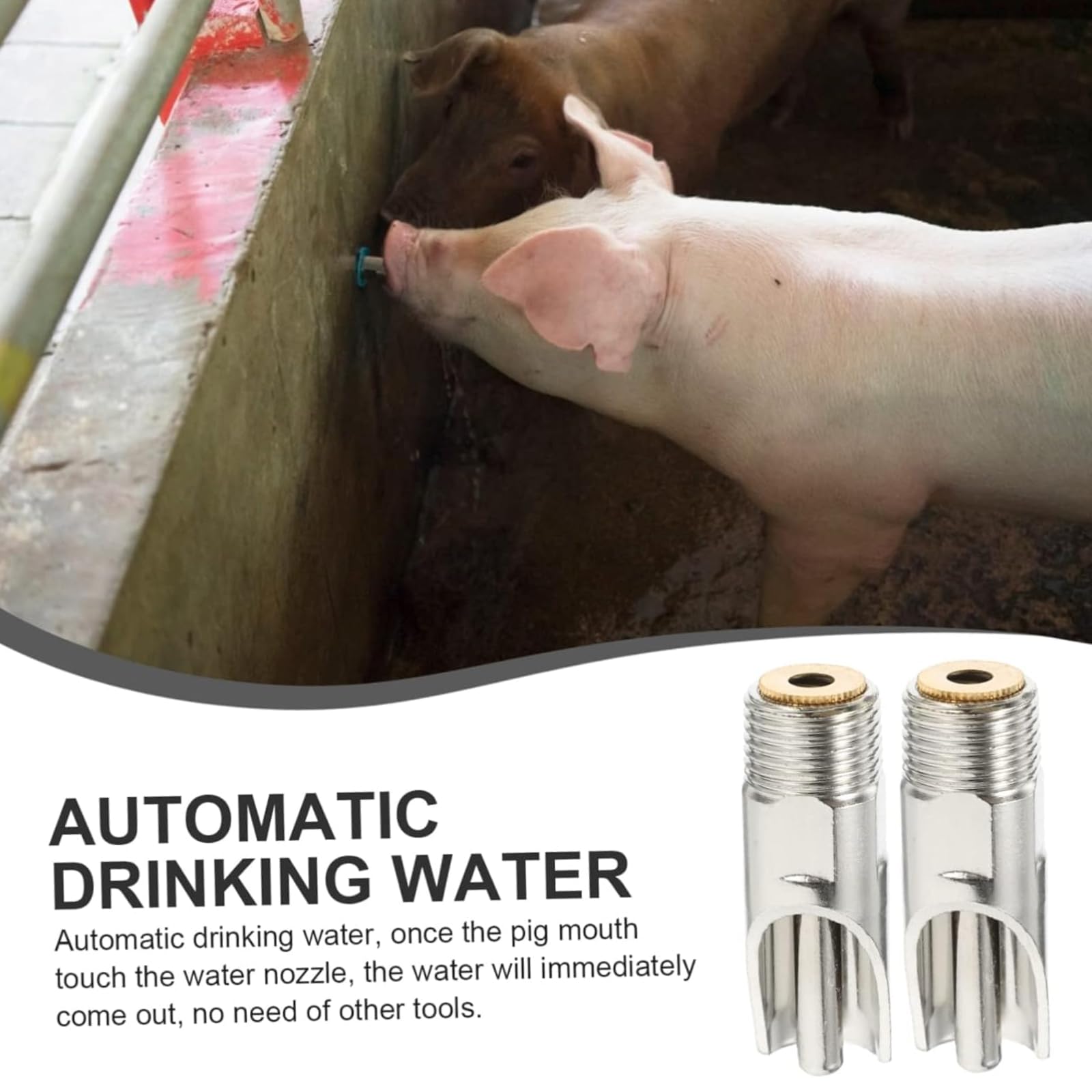 Bevitore Di Maiale Automatici 5 Pezzi Acciaio Inox Per Suini Bovini Capre Pecore