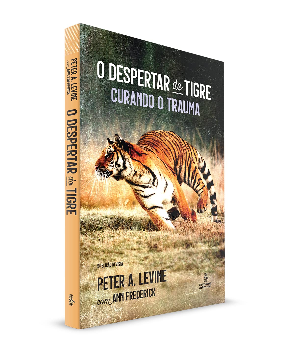 O despertar do tigre