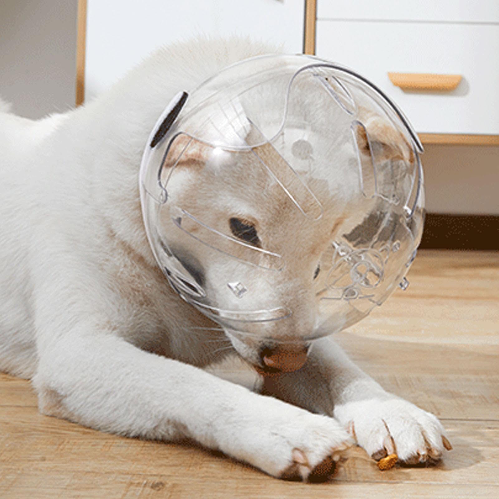 Cat Face Mask Zalati Transparent Cat Muzzle - Breathable Mesh Face ...