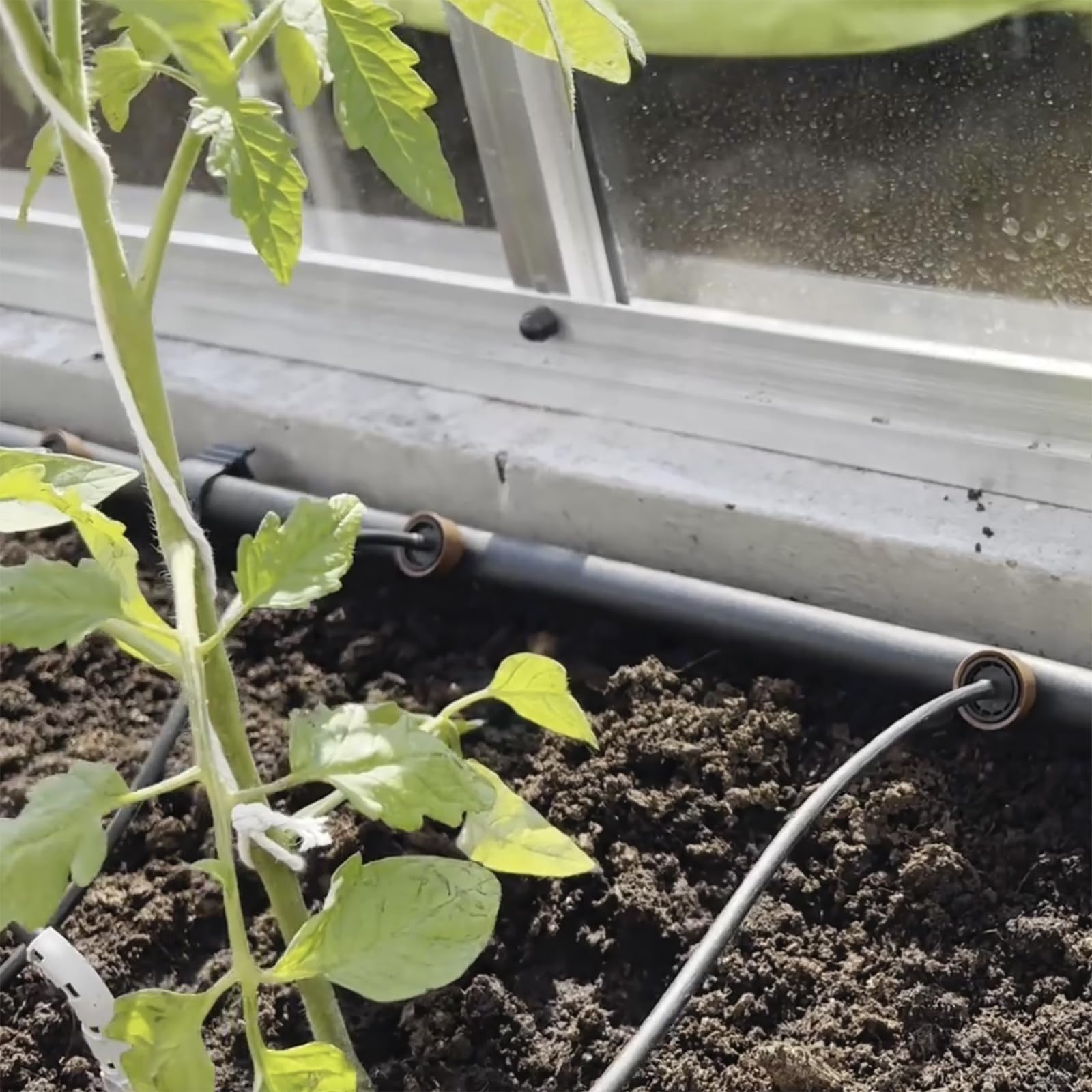 Premium Tropfbewässerungs-Set 100 m | Komplettsystem inkl. 75 Rivulis Tropfer 3,85 l/h | Gartenbewässerung Micro-Drip für Gemüse, Obst, Hecken | Flexibles Bewässerungssystem