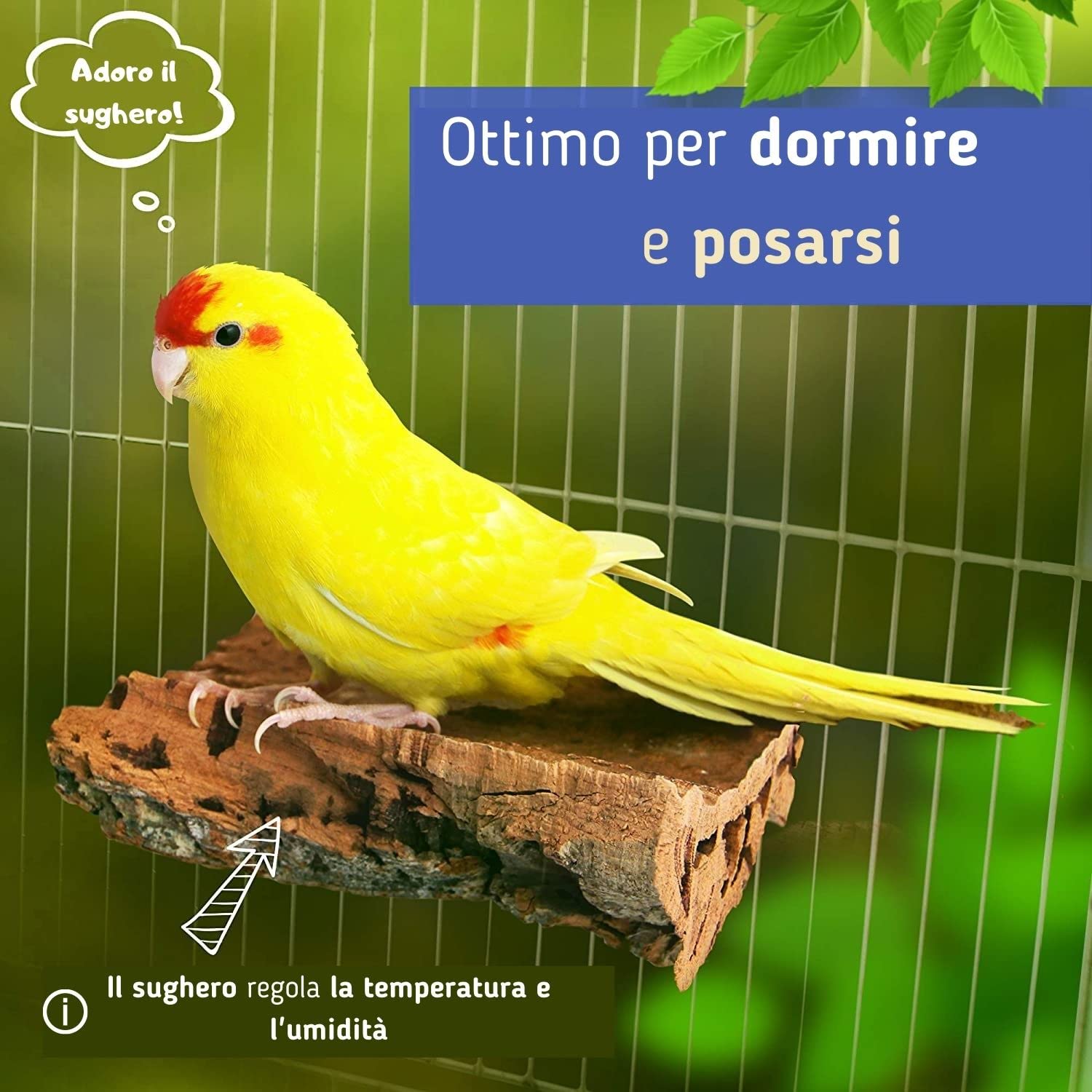 Posatoio piccolo per uccelli – Accessori sani per pappagallini, fatti a mano in sughero