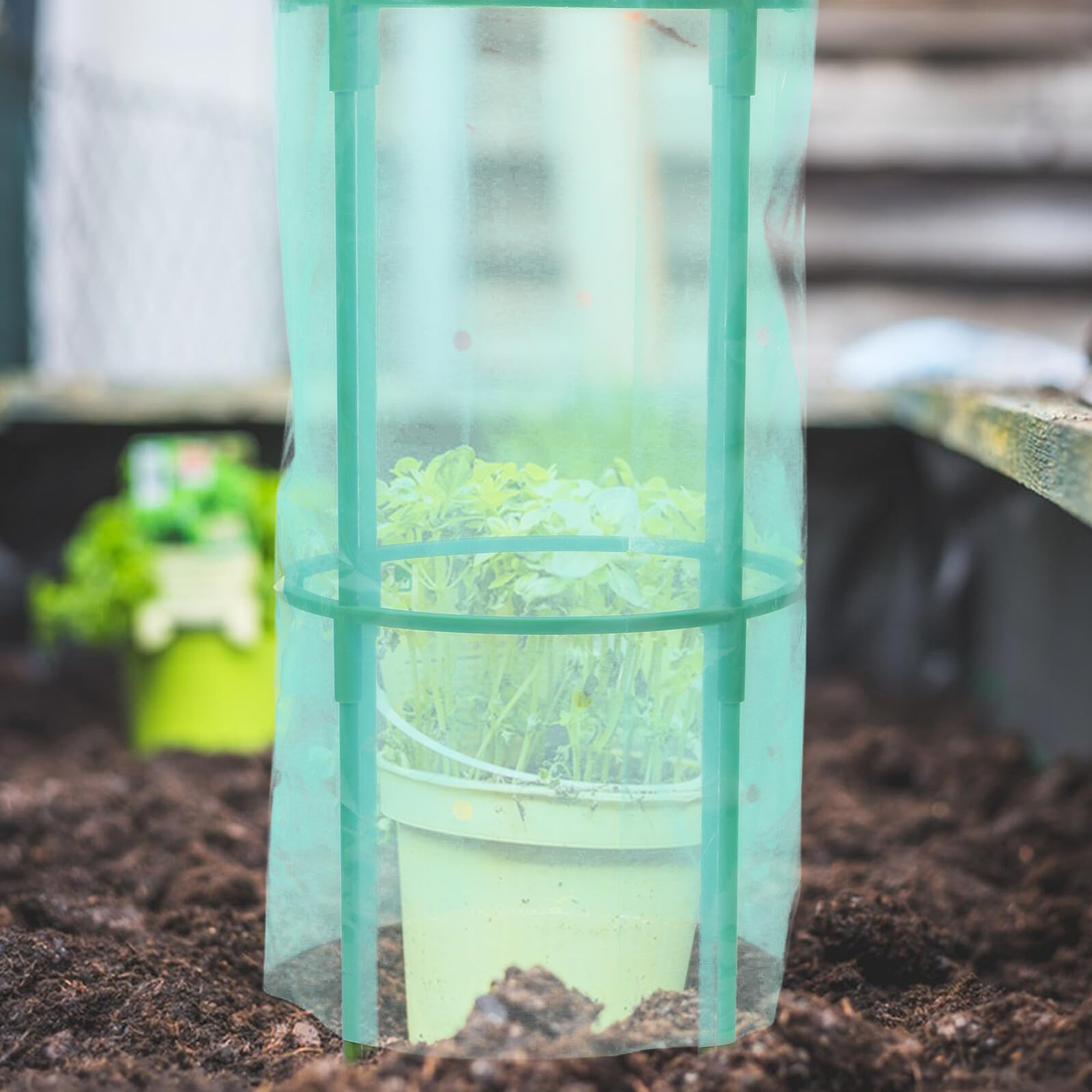 Hemobllo Lot de 2 Cloches de Protection pour Plantes en Film Plastique 8S Dimensions 24X57 CM Voile Respirant Anti-Gel pour Légumes Fleurs Plates-Bandes et Protection Hivernale Jardin