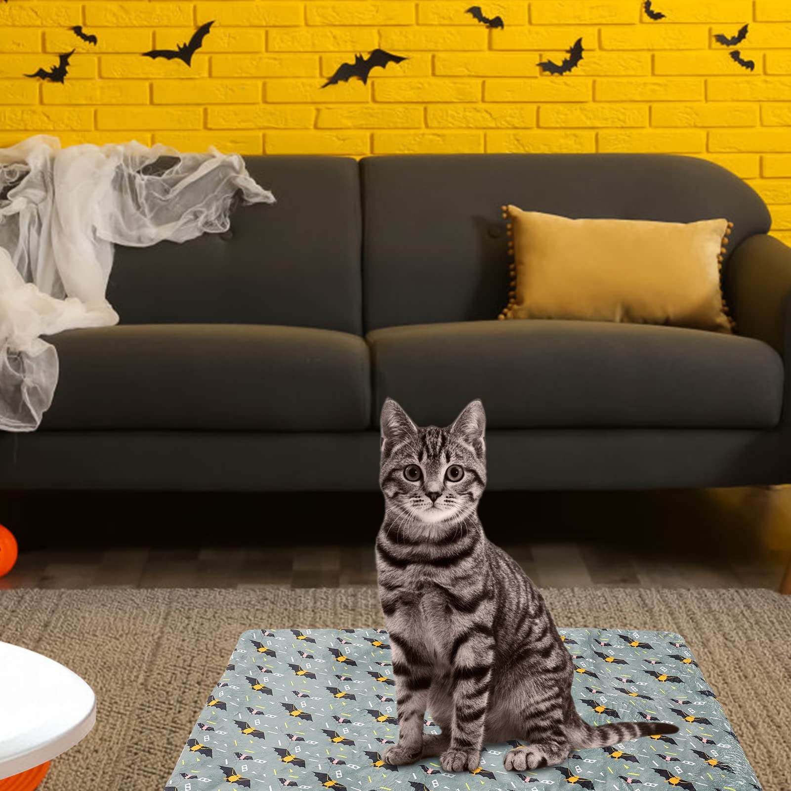 Tapis Chauffant pour Chat Autochauffant Halloween, Lit Confortable