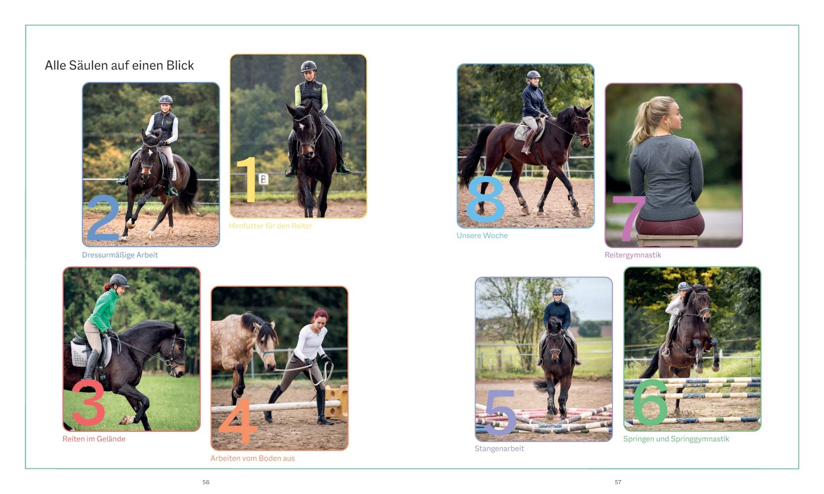 Die Reittrainings-Box: Ganzheitliche Übungsprogramme für Pferd und Reiter einfach selbst zusammenstellen - Genial flexibel für Anfänger und Fortgeschrittene aller Reitstile (BLV Pferde & Reiten)