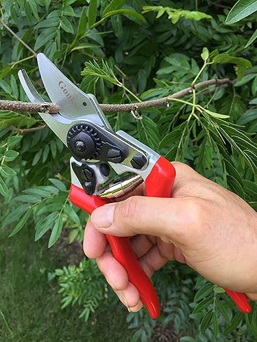 Miniatura 6 de gonicc Tijeras de podar profesionales Sharp Bypass GPPS-1007 para manos más pequeñas diseño de ranura de savia
