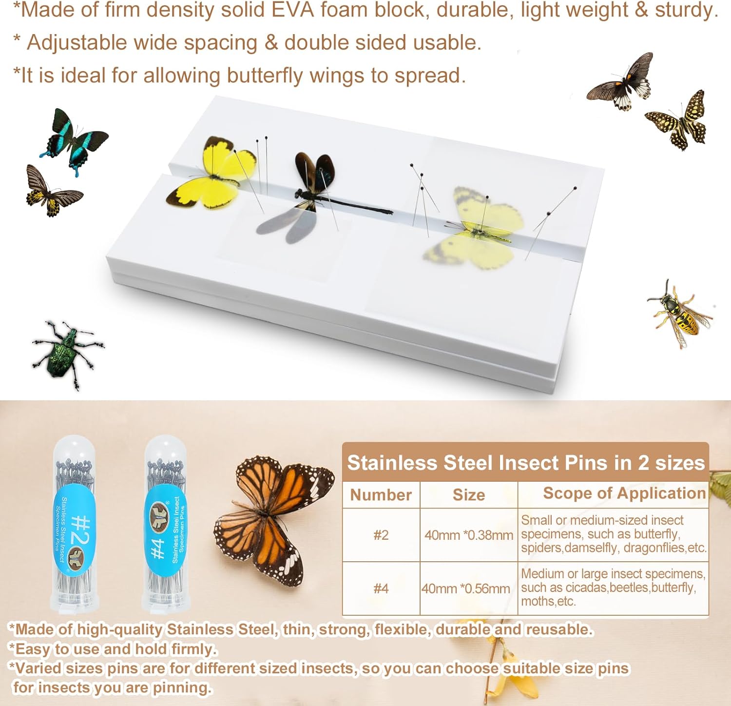 Making Insect Specimen Tools Kit - Insect Pins, Shadow Box, Pinning Board, Wings Pressing Paper, Tweezers, Scissors - Collection Display for Bug Hobbyists/Biology Projects