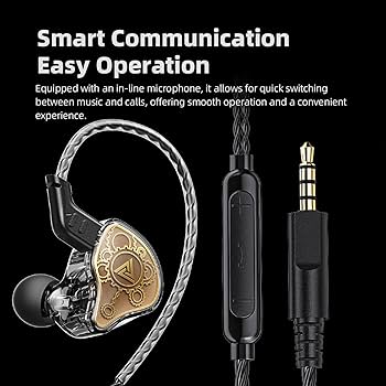 イヤホン Hilcrhyme 10 anniversary limited model Victor JVC Ha-fw10000 Wood Series 10th Anniversary Model