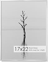 Vista 227 de Fun Memories Portarretratos de metal de 16 x 20 pulgadas con paspartú de 11 x 14 pulgadas, acabado de aluminio cepillado, parte delantera de vidrio