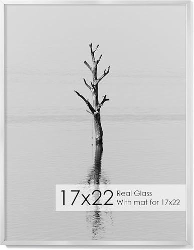 Miniatura 227 de Fun Memories Portarretratos de metal de 16 x 20 pulgadas con paspartú de 11 x 14 pulgadas, acabado de aluminio cepillado, parte delantera de vidrio