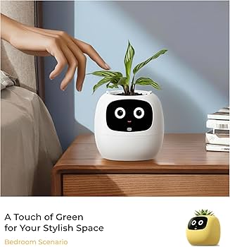 鉢・プランター A BATHING APE x NEIGHBORHOOD Plant Pot BAPE X NBHD 】PLANT POT | bape.com