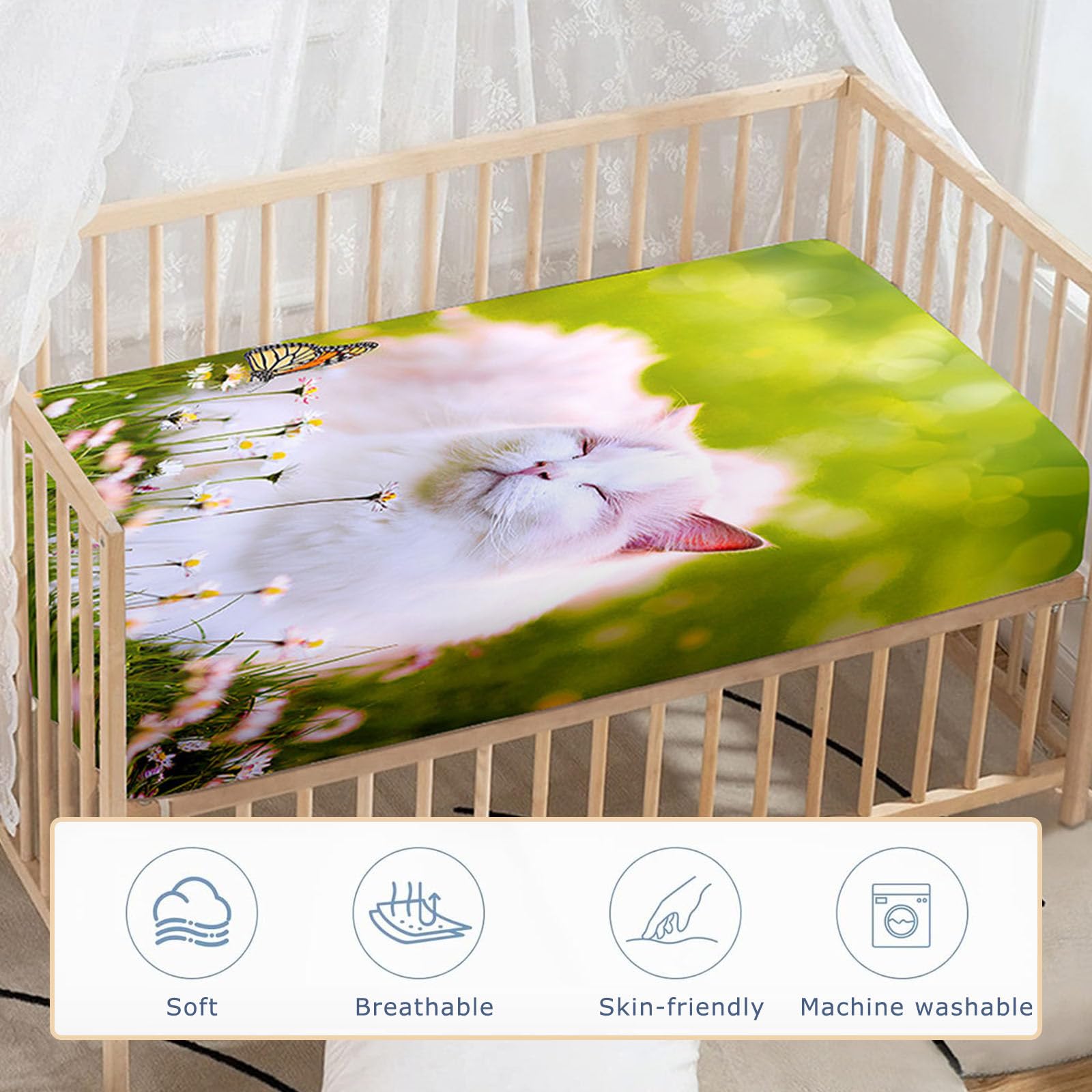 View 5