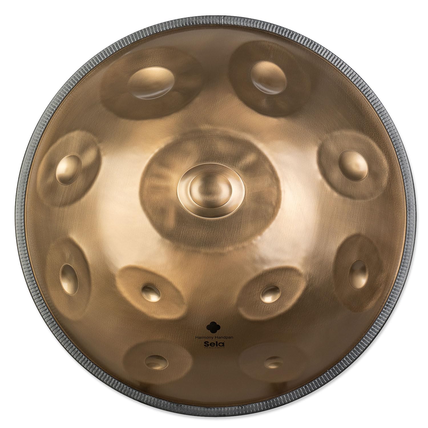 Sela SEHP201 Harmony Handpan D-Kurd en acier inoxydable avec livre scolaire et chiffon