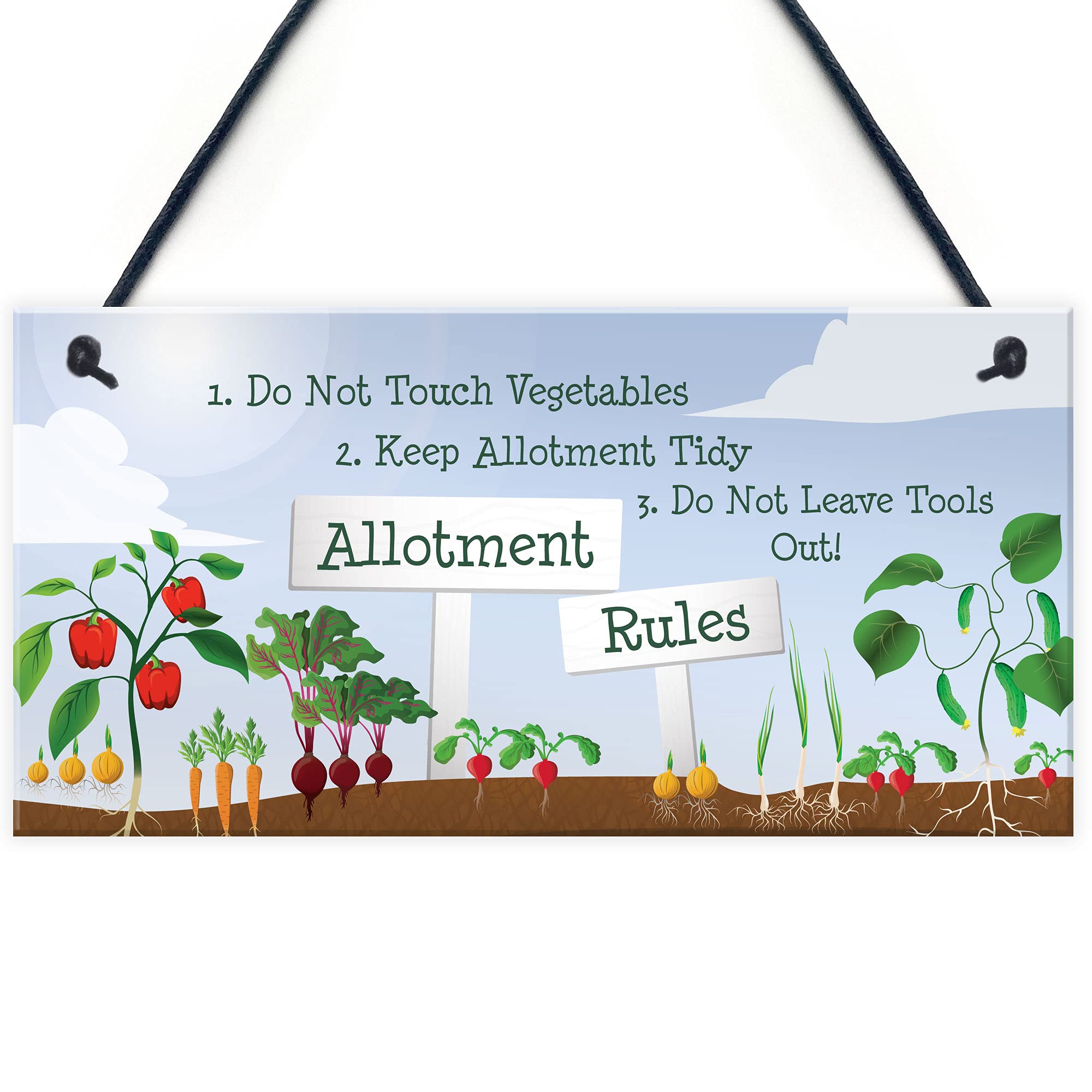 Allotment Rules Sign Garden Summerhouse Shed Sign Mum Nan Dad Grandad Gift Plaque