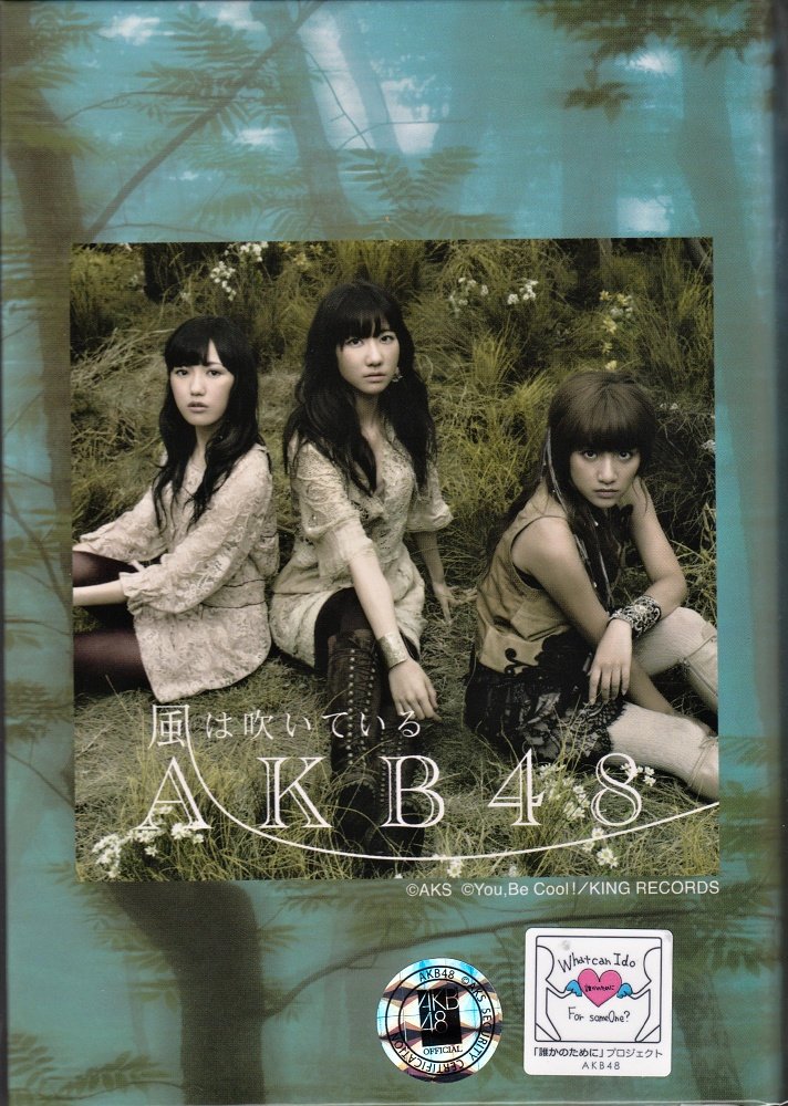 Amazon.co.jp: AKB48[風は吹いている] ミニフォトアルバム PHOTO ALBUM