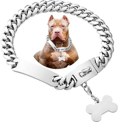 Collar de perro con cadena de oro plateado para perros medianos y grandes, collar de pastor bulldog (acero inoxidable, 24 pulgadas)