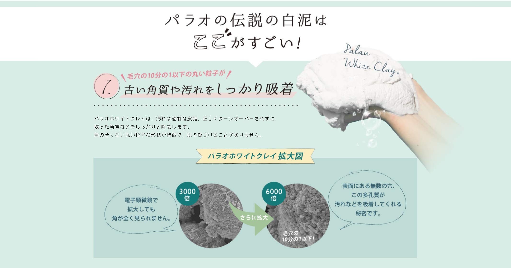 Amazon.co.jp: パラオミルキー ピュアホワイト クレイパック 70g 