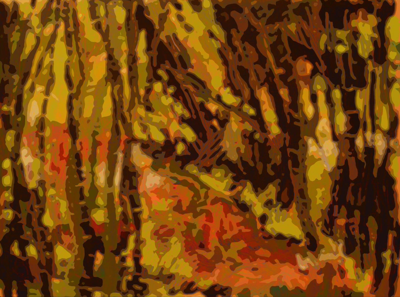 Not for Everyone, but I loved it.