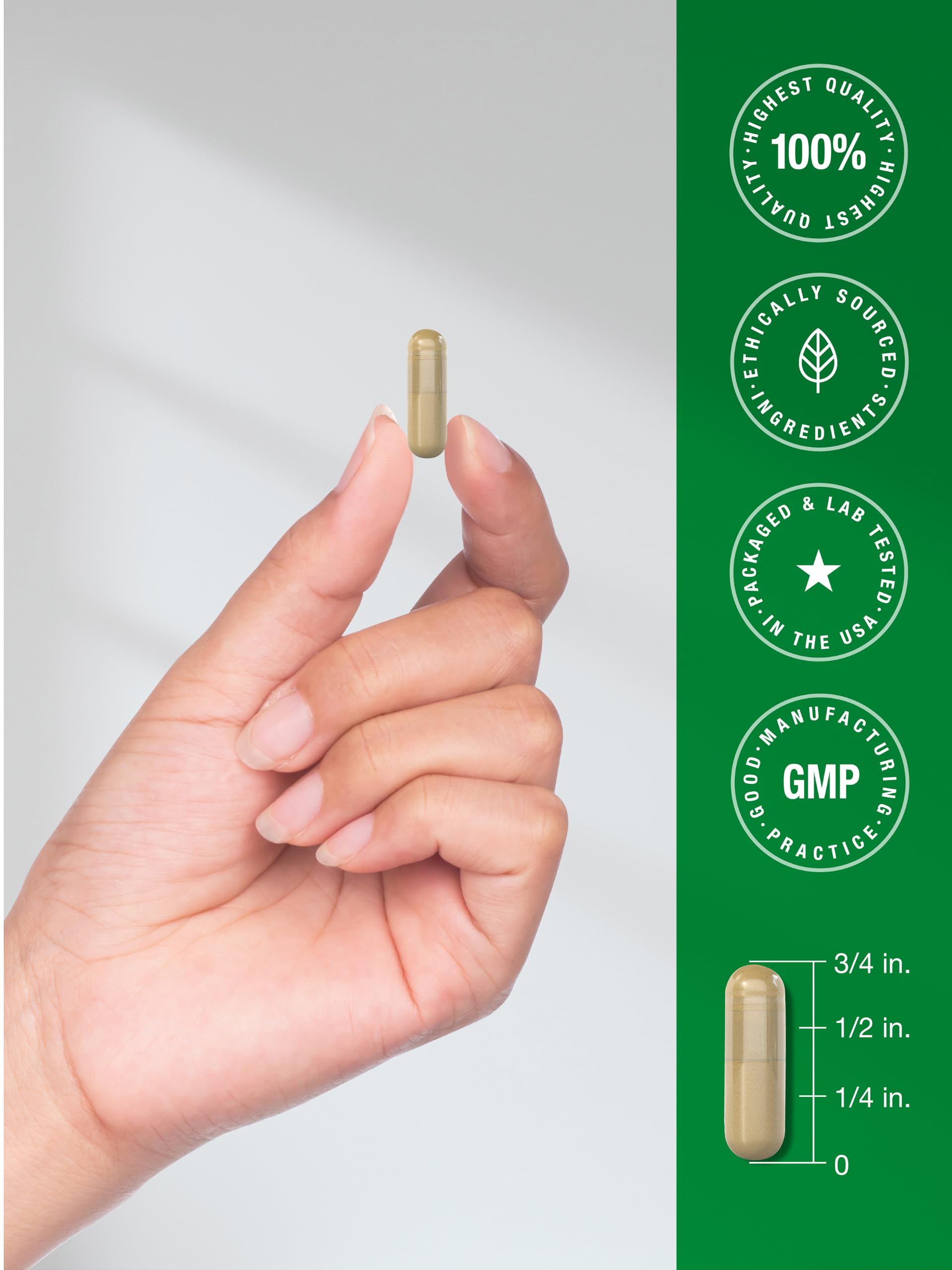 Horbäach Stinging Nettle Capsules | 150 Count — Amazon image 7