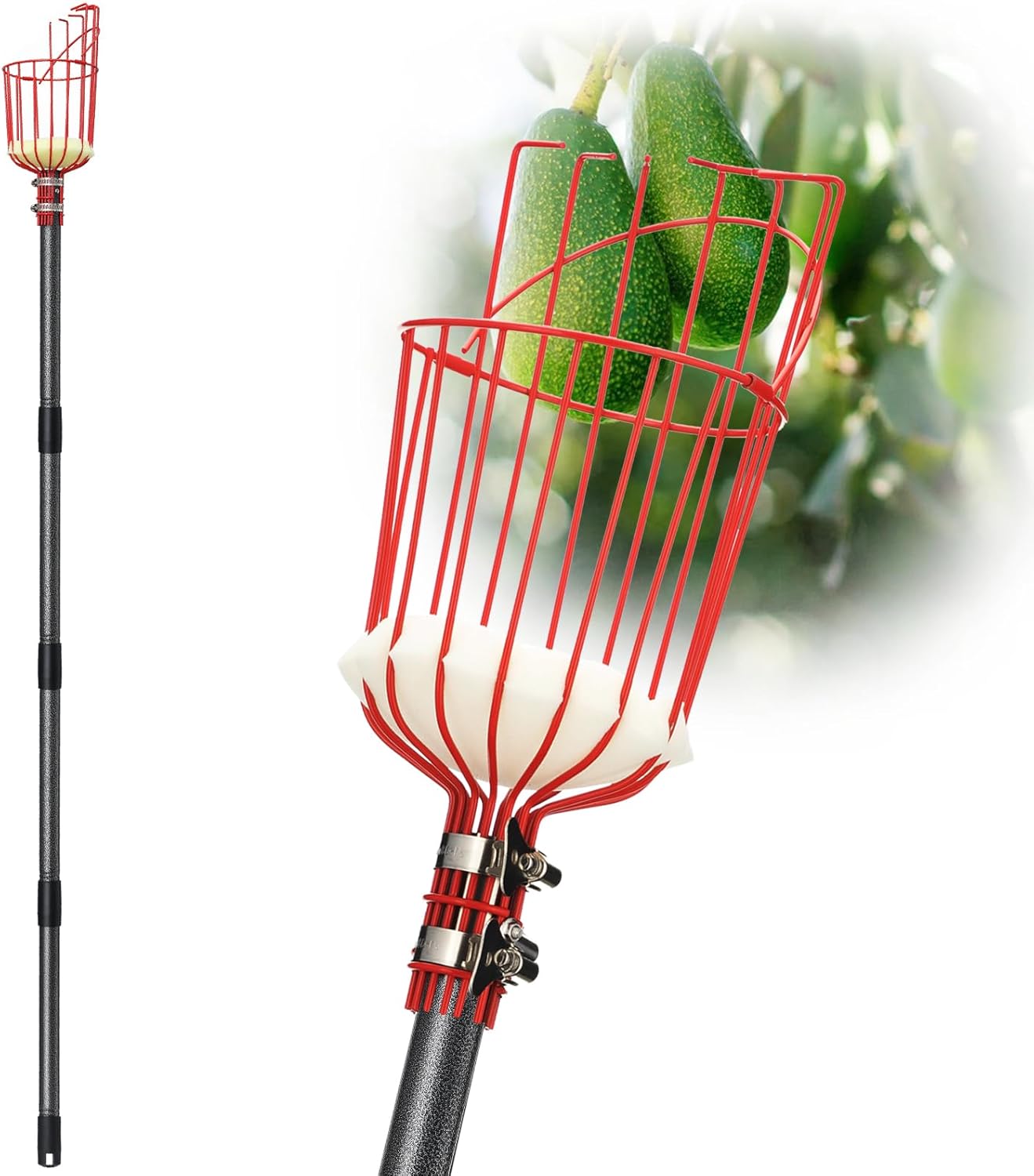 Product image of Fruit Picker Pole Tool with Basket Telescoping, Adjustable Apple Picker Pole 35-170 inch Long Handle, Mango Orange Avocado Fig Acorn Lemon Pear Pomelo Chery Picker for Tree