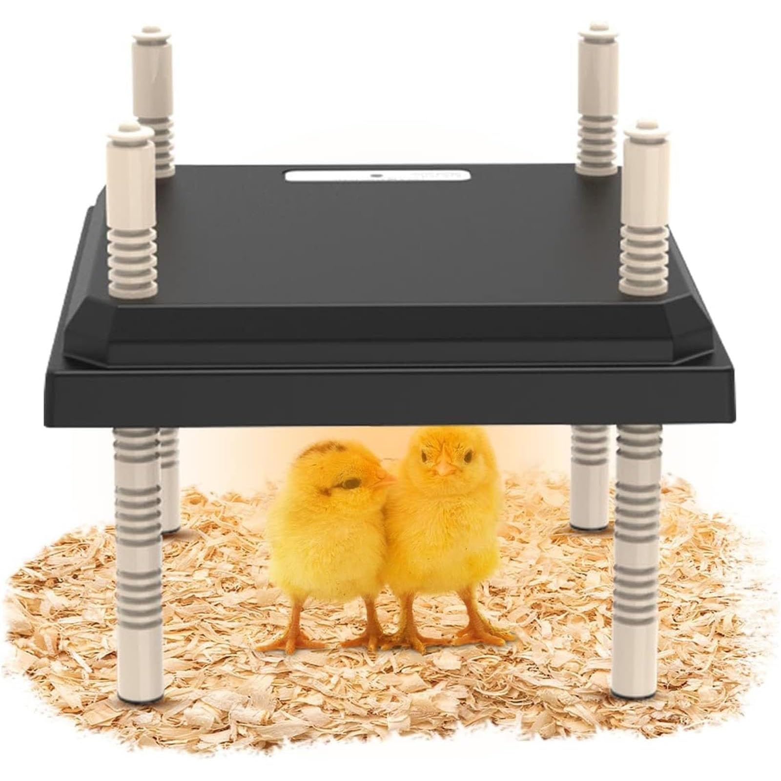 Placa Calefactora Para Criadora De Pollitos De 12 × 12 Pulgadas, Calentador De Pollitos De Altura Ajustable Para Hasta 20 Pollitos, Patitos Y Pájaros