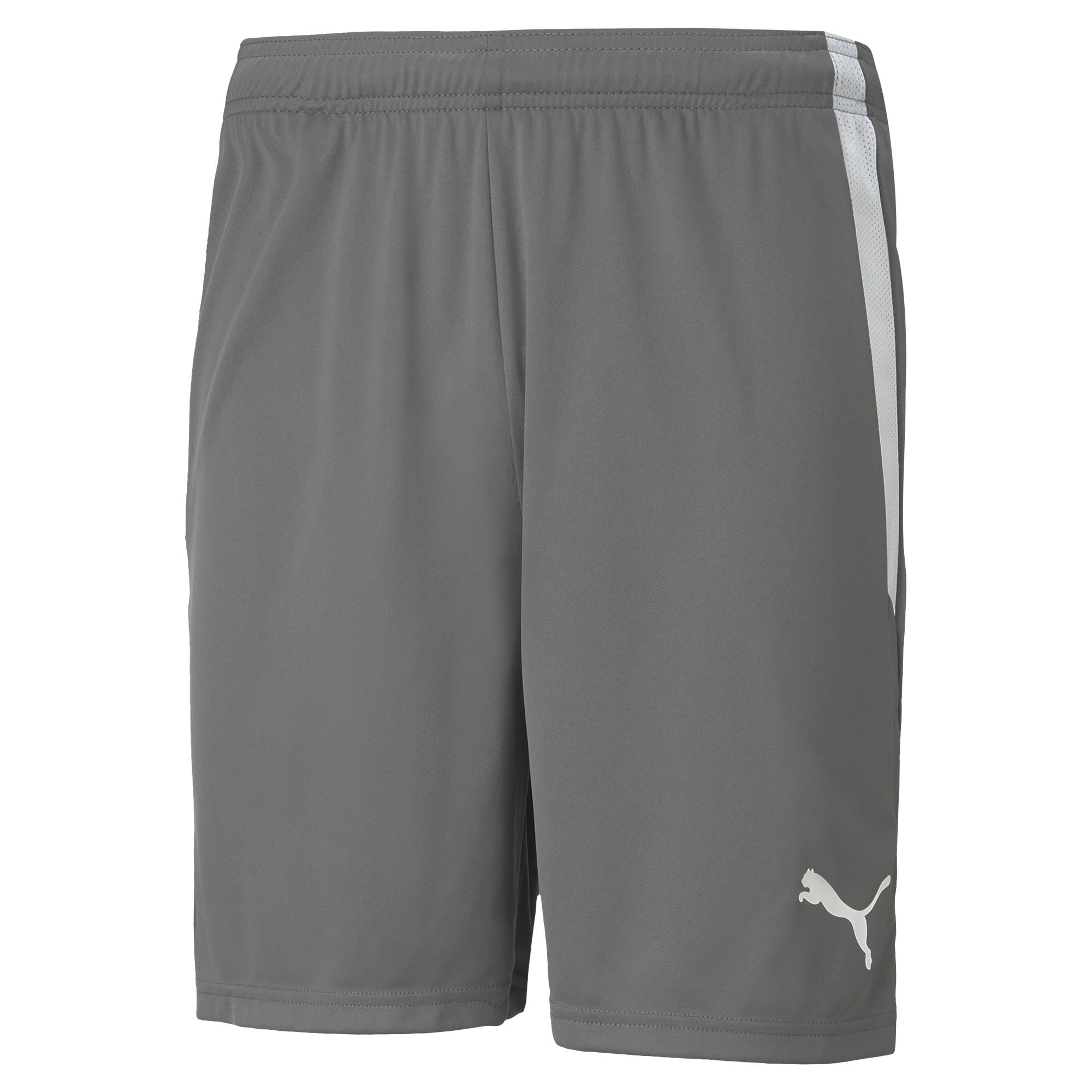 PUMA Mens Teamliga Short, Smoked Pearl-puma White, XL EU