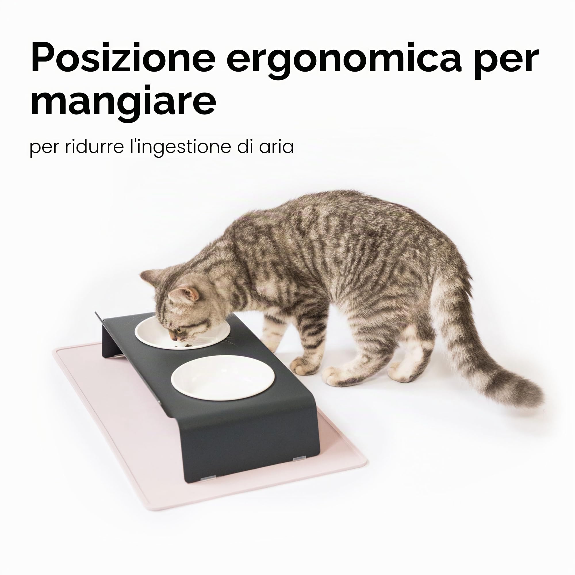 LucyBalu® Dine Doppia mangiatoia per gatti in metallo I Antracite