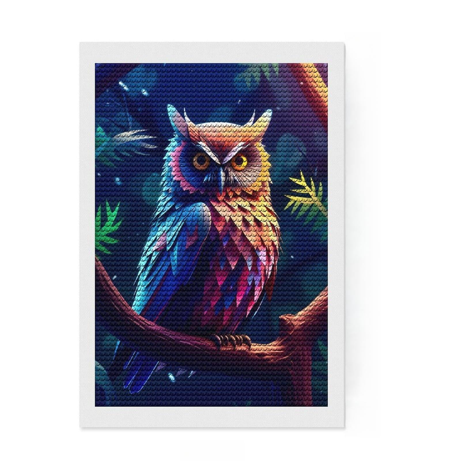 Junmoney Amazing Owl 3D 5D Diamond Painting Kit 8"x12", for Women, Farmhouse Decor, Boho Decor, Thoughtful Present, Relaxing DIY