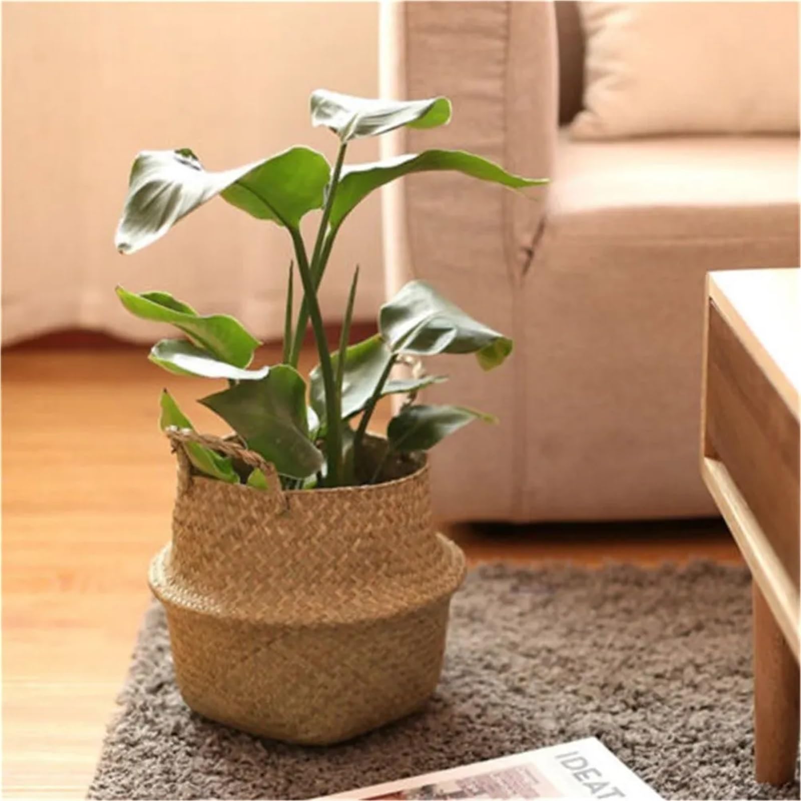 Cache Pot en Osier Boîte de Rangement Domestique Pliable, Panier de Rangement tissé d'algues Naturelles, Pot de Fleur, Vase de Jardin Suspendu, Panier de Rangement en Osier 3 pièces