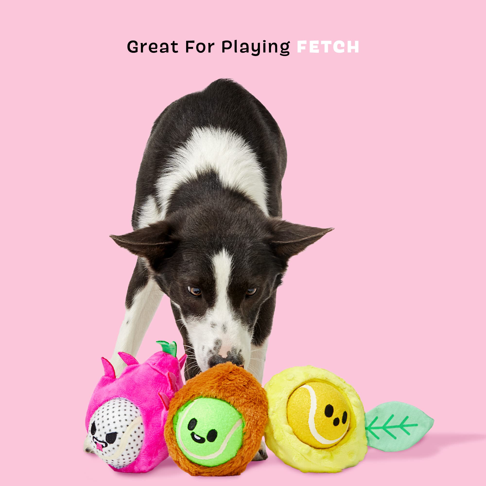 Barkbox Dog Toys Fruity Cutie Tropical Trio Squeaker