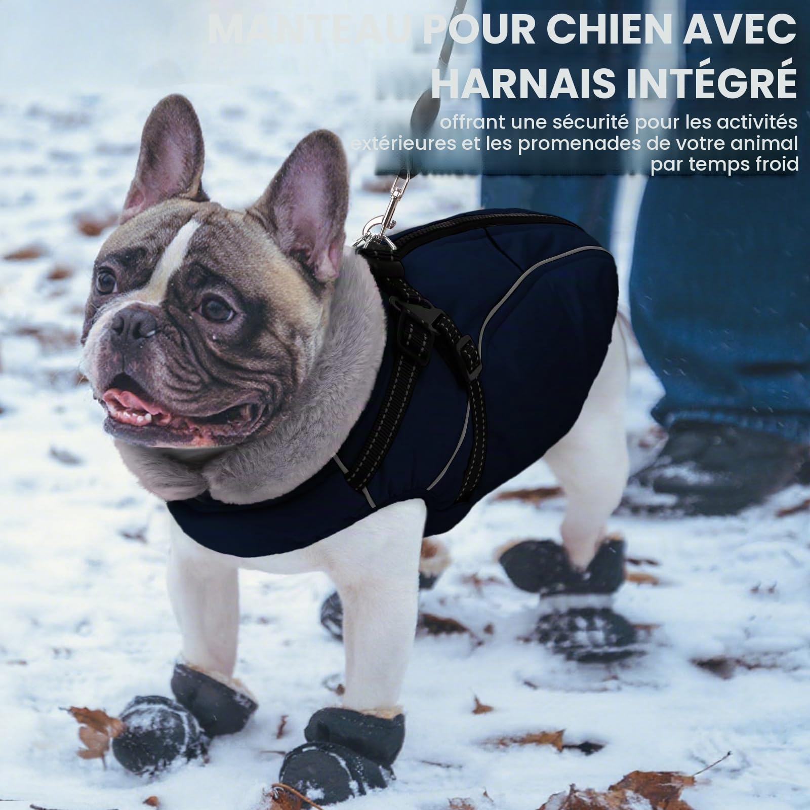 Manteau Chien Hiver avec Harnais, Manteaux Imperméables pour Chiens, Veste avec Harnais, Bouledogue Français/Cocker Spaniel/Lévrier