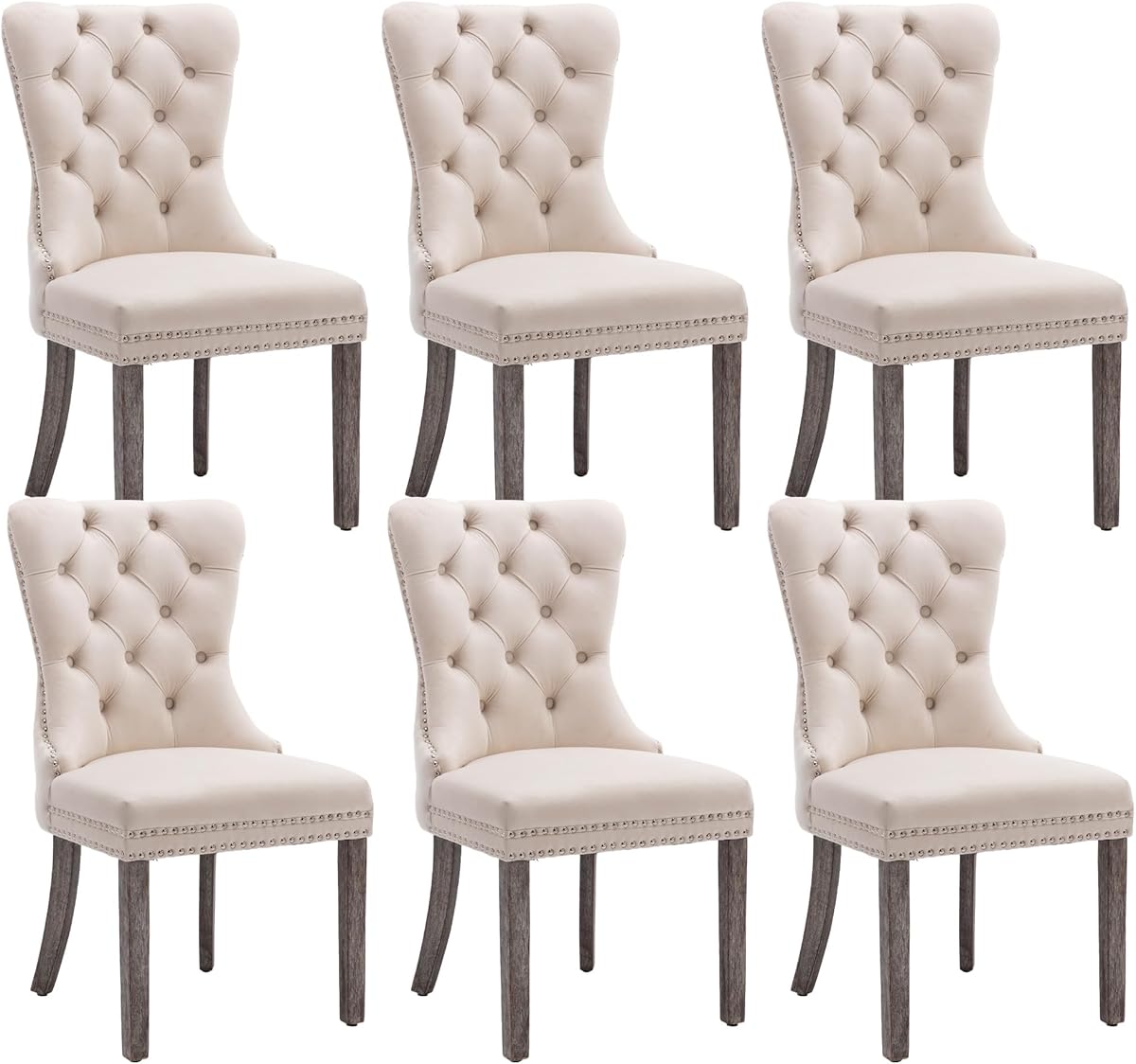 KCC Velvet Dining Chairs Set of 6, Upholstered High-end Tufted Dining Room Chair with Nailhead Back Ring Pull Trim Solid Wood Legs, Nikki Collection Modern Style for Kitchen, Beige